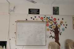 WhatsApp-Image-2025-12-31-at-11.26.26-AM-11