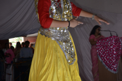 DSC_7184