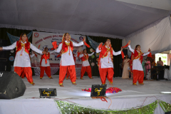 DSC_7201-Copy